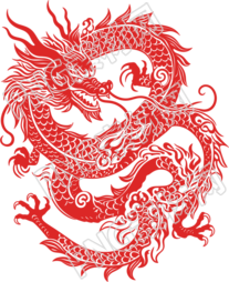 中国龙创意设计灵感插画