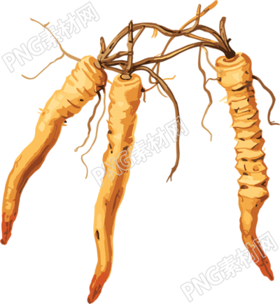 冬蟲夏草圖形素材插畫