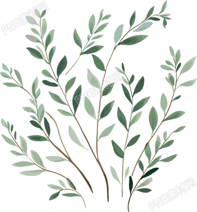 枝葉裝飾畫(huà)透明背景插畫(huà)