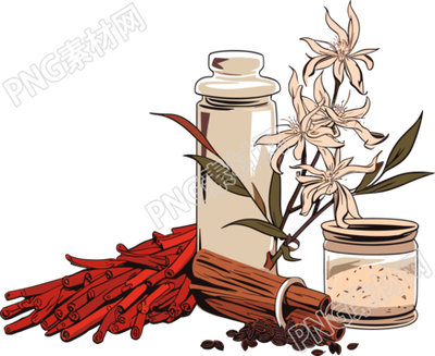 中草药矢量简洁插图