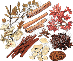 中草藥高清圖形素材