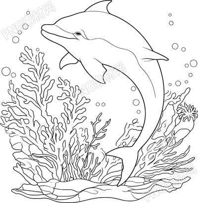 可爱海豚PNG图形素材