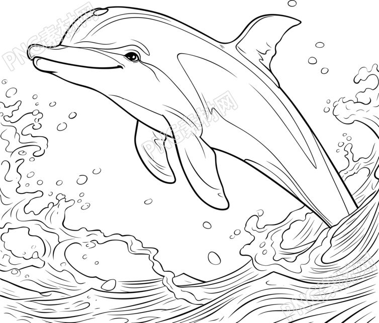 可愛(ài)海豚商用設(shè)計(jì)元素