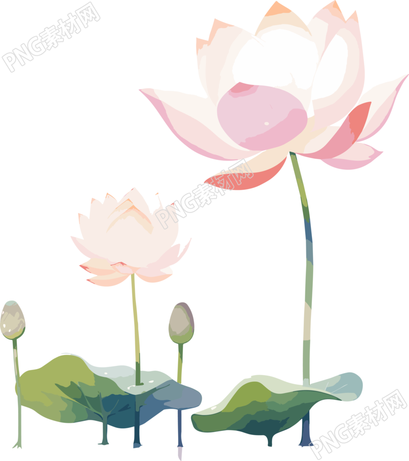 莲花简约儿童插画素材