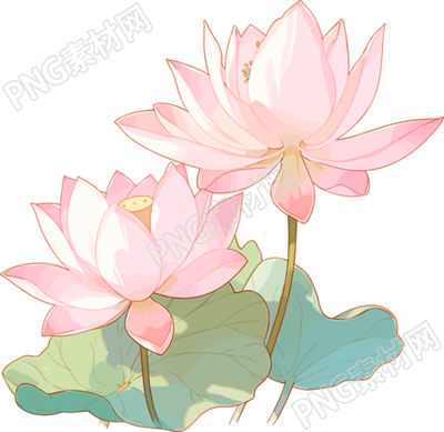 莲花简约儿童插画