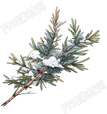松枝积雪商业设计元素