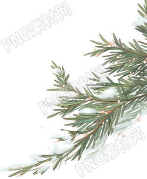松枝积雪高清质量素材
