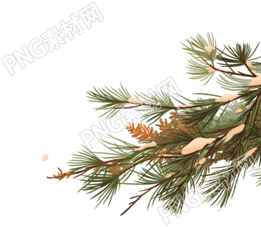 松枝雪花飘落插图