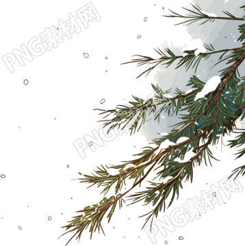 松枝积雪插图