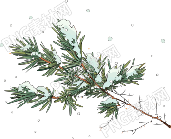 松枝积雪透明背景素材