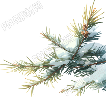 松枝上飘落的雪花素材