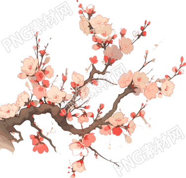 梅花PNG高清透明背景素材
