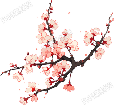梅花高清透明背景插画