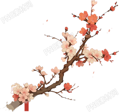 梅花素材PNG透明背景元素