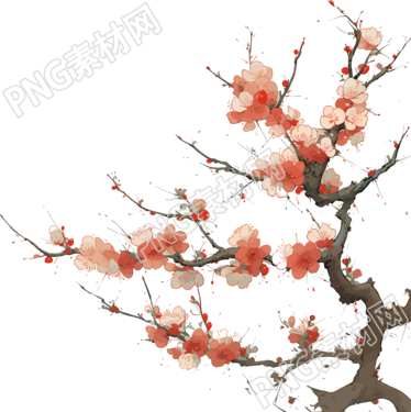 梅花透明背景设计素材