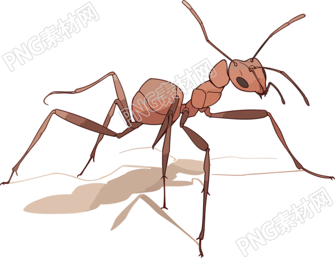 蚂蚁卡通高清插图