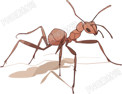 蚂蚁卡通高清插图