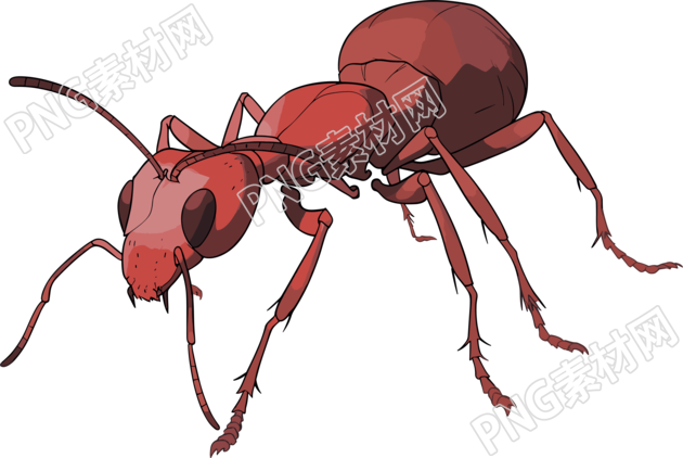 蚂蚁卡通创意设计元素