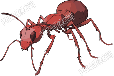 蚂蚁卡通创意设计元素