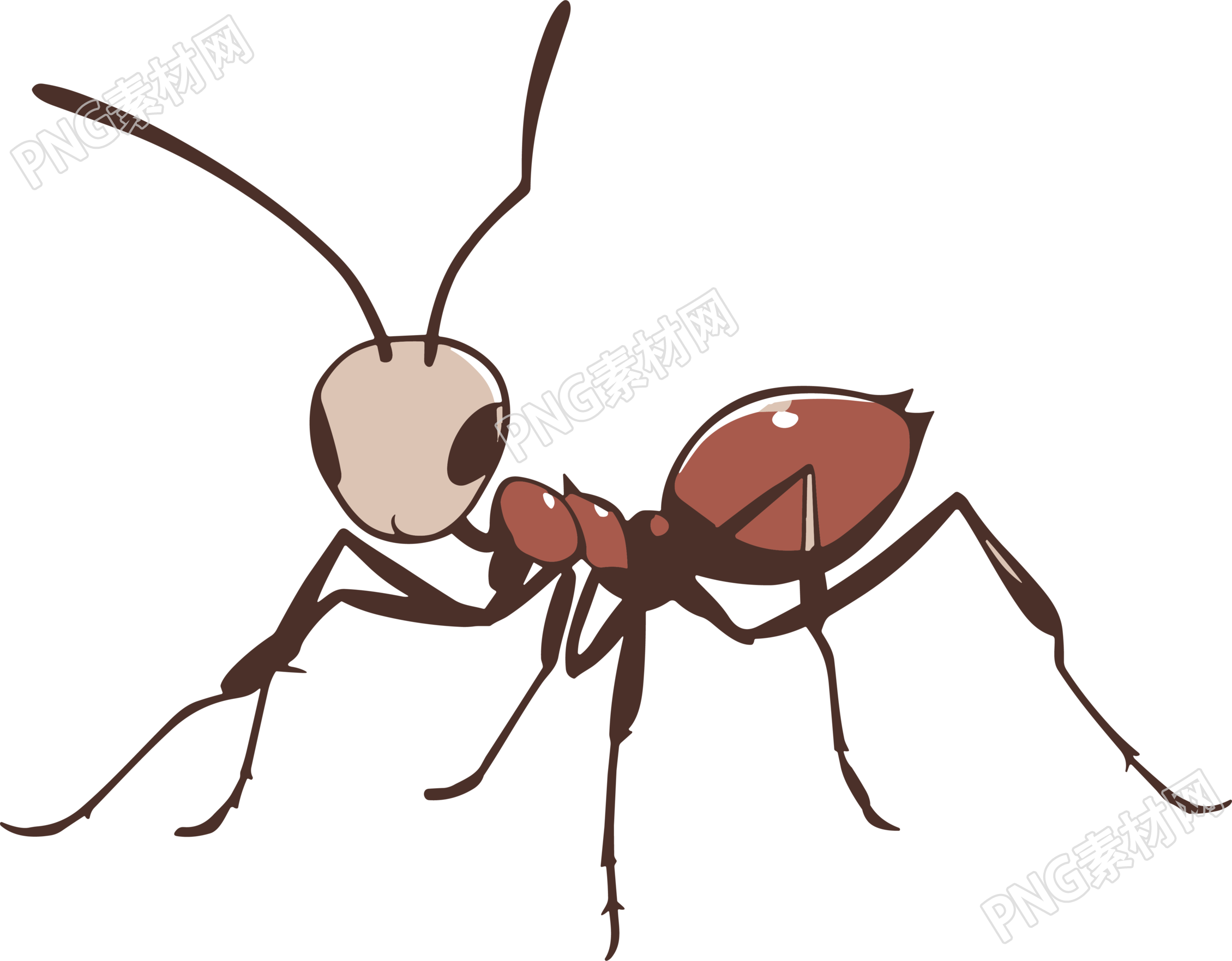 蚂蚁卡通手绘插画PNG素材