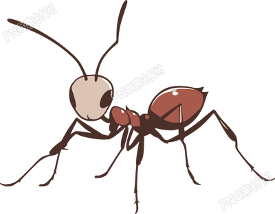 蚂蚁卡通手绘插画PNG素材