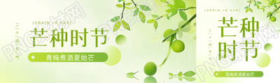 芒种时节青梅煮酒公众号封面图