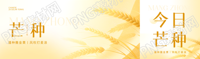 24节气芒种弥散风公众号封面图