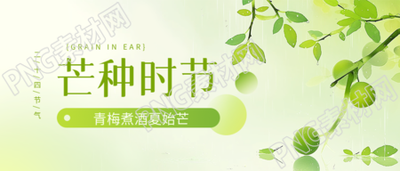 24节气芒种青梅卡通微信公众号首图