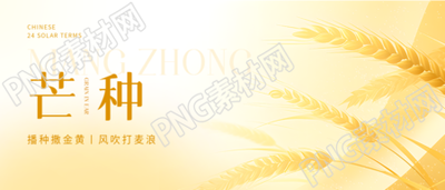 芒种节气小麦丰收微信公众号首图