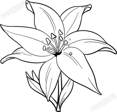 花简笔画