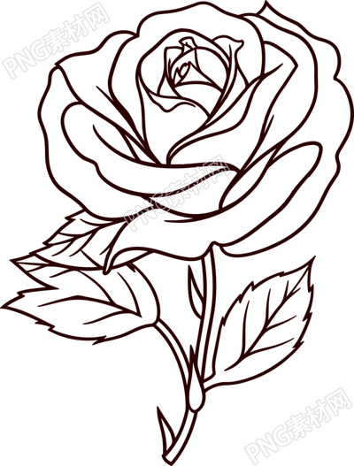 玫瑰花简笔画