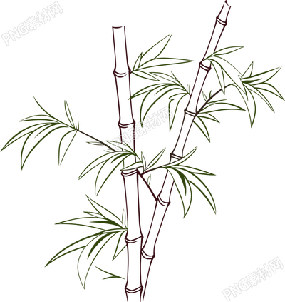 竹子简笔画