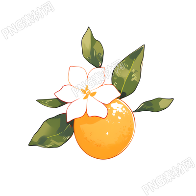 橙子創(chuàng)意圖形高清插畫