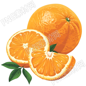 橙子PNG素材插画
