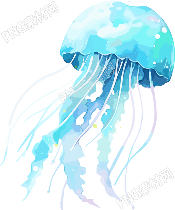水母水彩插画