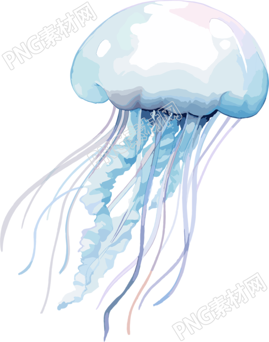 水母高清PNG素材