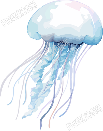 水母高清PNG素材