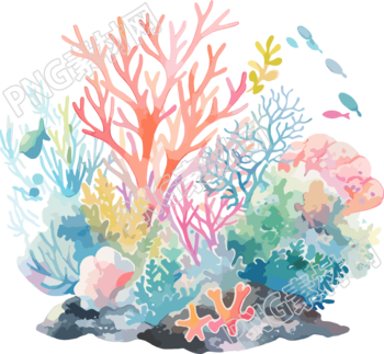 珊瑚透明背景插畫
