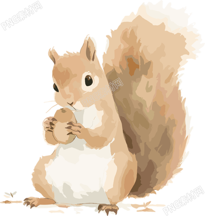 卡通松鼠可愛動物插畫