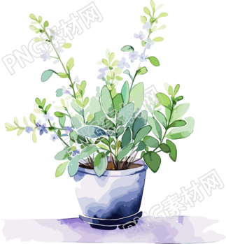 水彩花卉透明背景插画
