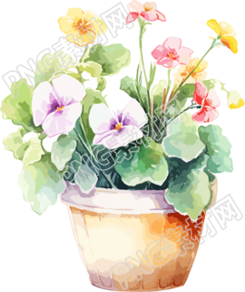 水彩花卉繪畫圖形元素