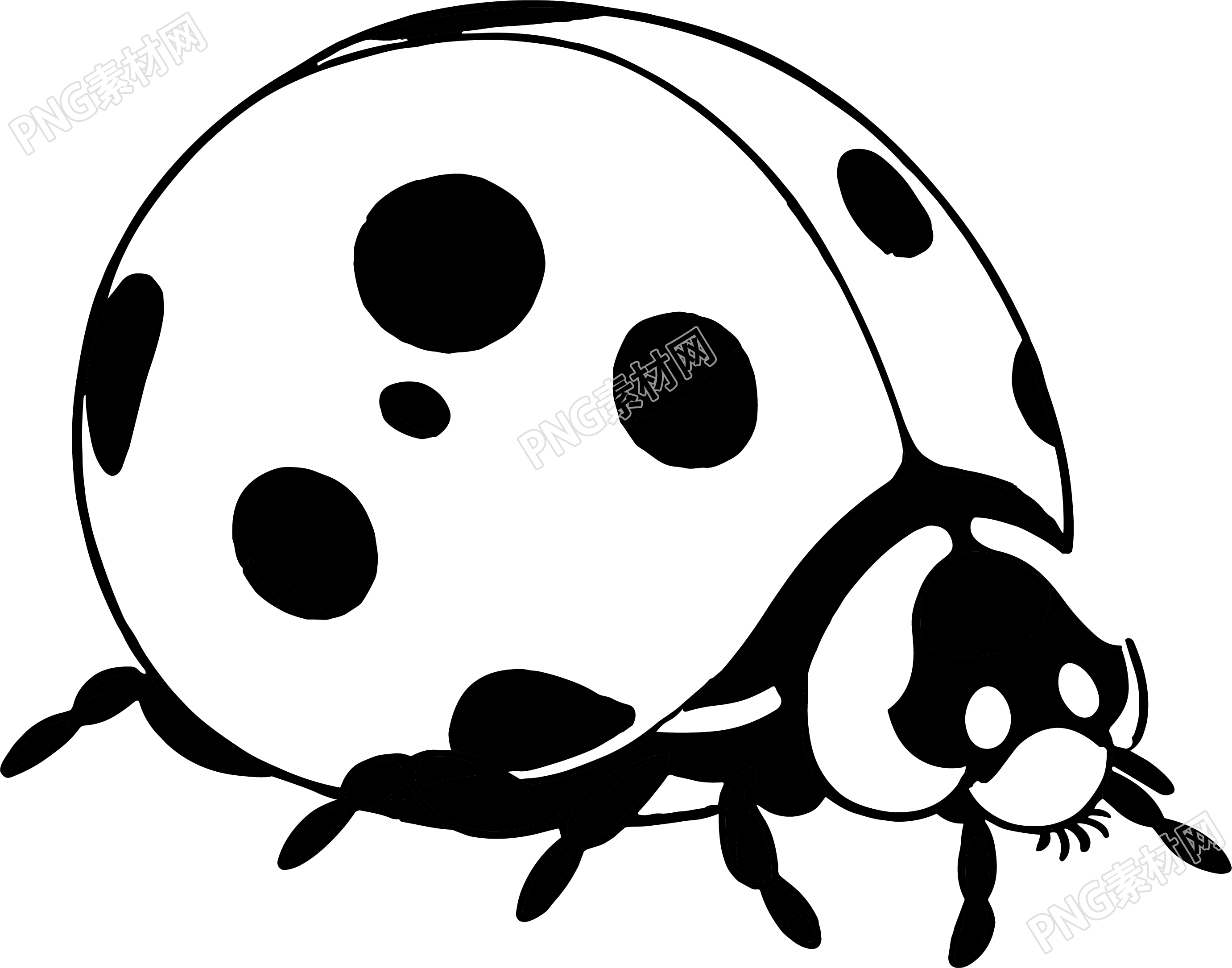 七星瓢虫简笔画