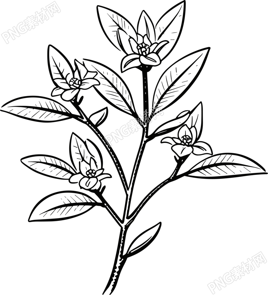 中秋节图片大全简笔画