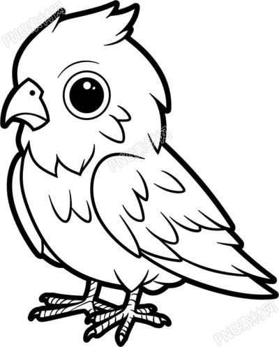 杜鵑鳥簡筆畫