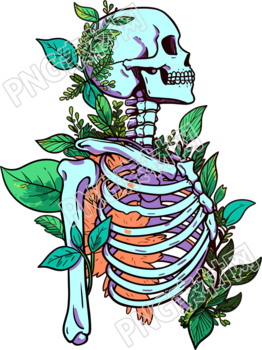 人体骨架PNG图标插画