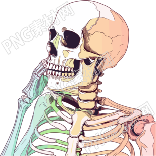 人体骨架医学图像素材