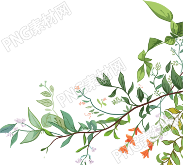 藤蔓邊框手繪PNG圖形素材