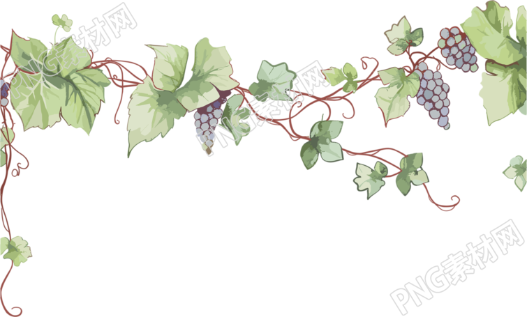 藤蔓边框手绘插画风格素材