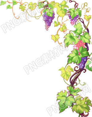 藤蔓邊框可商用PNG圖形素材