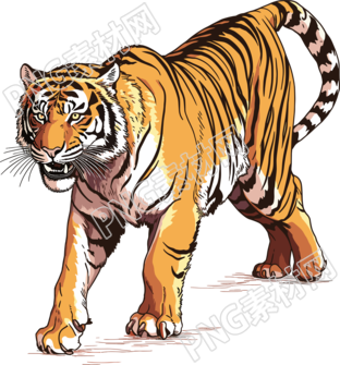 華南虎創(chuàng)意設(shè)計(jì)素材
